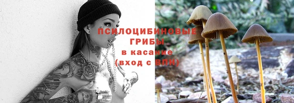 ГАЛЛЮЦИНОГЕННЫЕ ГРИБЫ Абинск